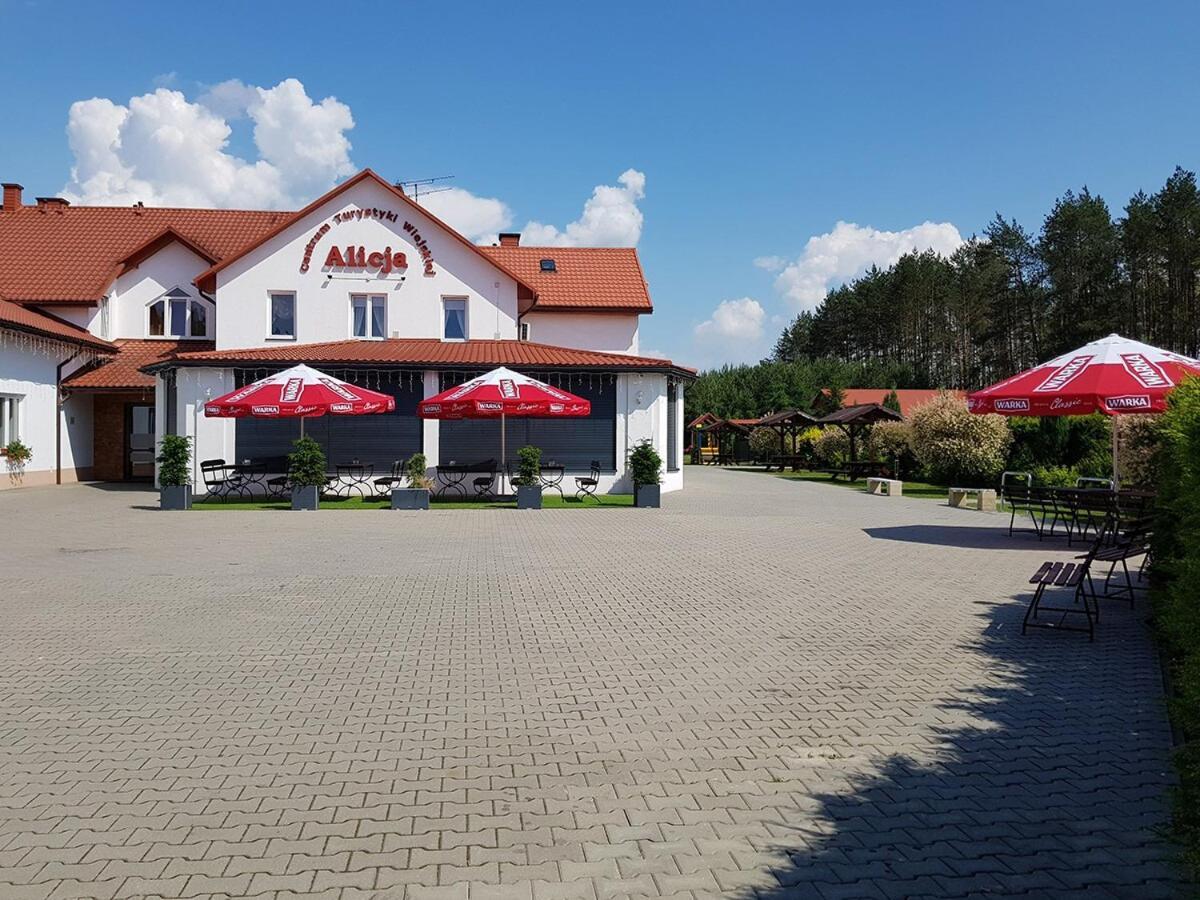 Centrum Turystyki Wiejskiej Alicja Ksiezpol Екстериор снимка